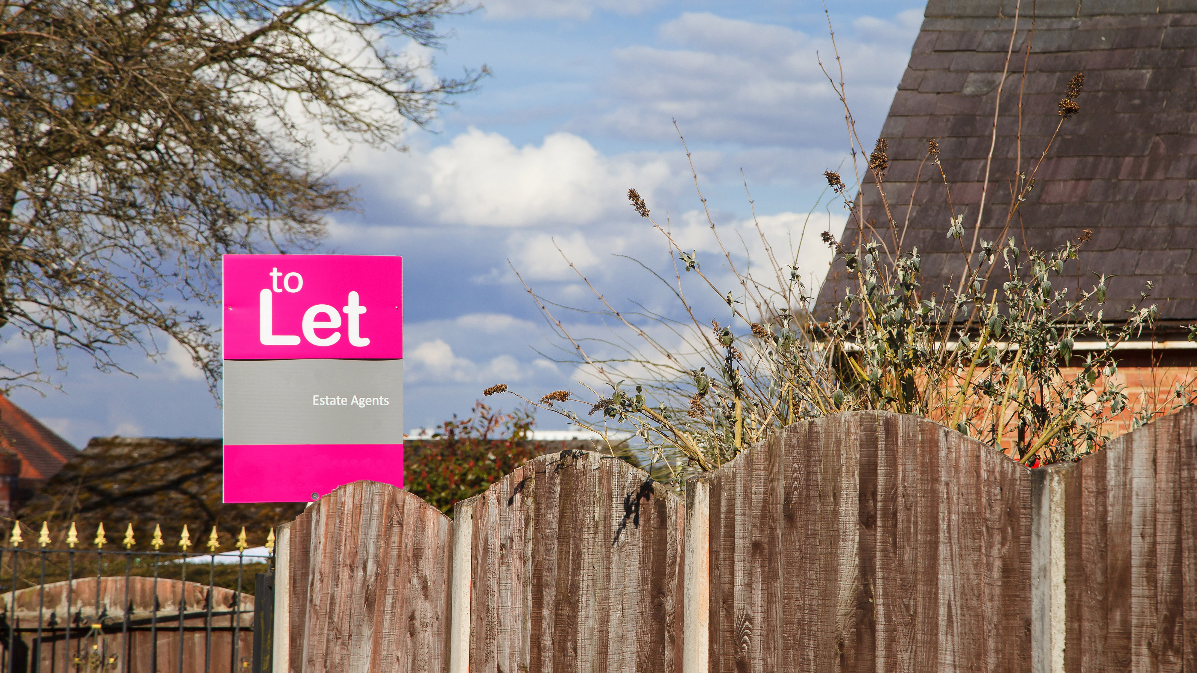 Residential garden with a brightly coloured for let sign