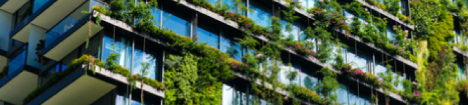 Green wall on a building