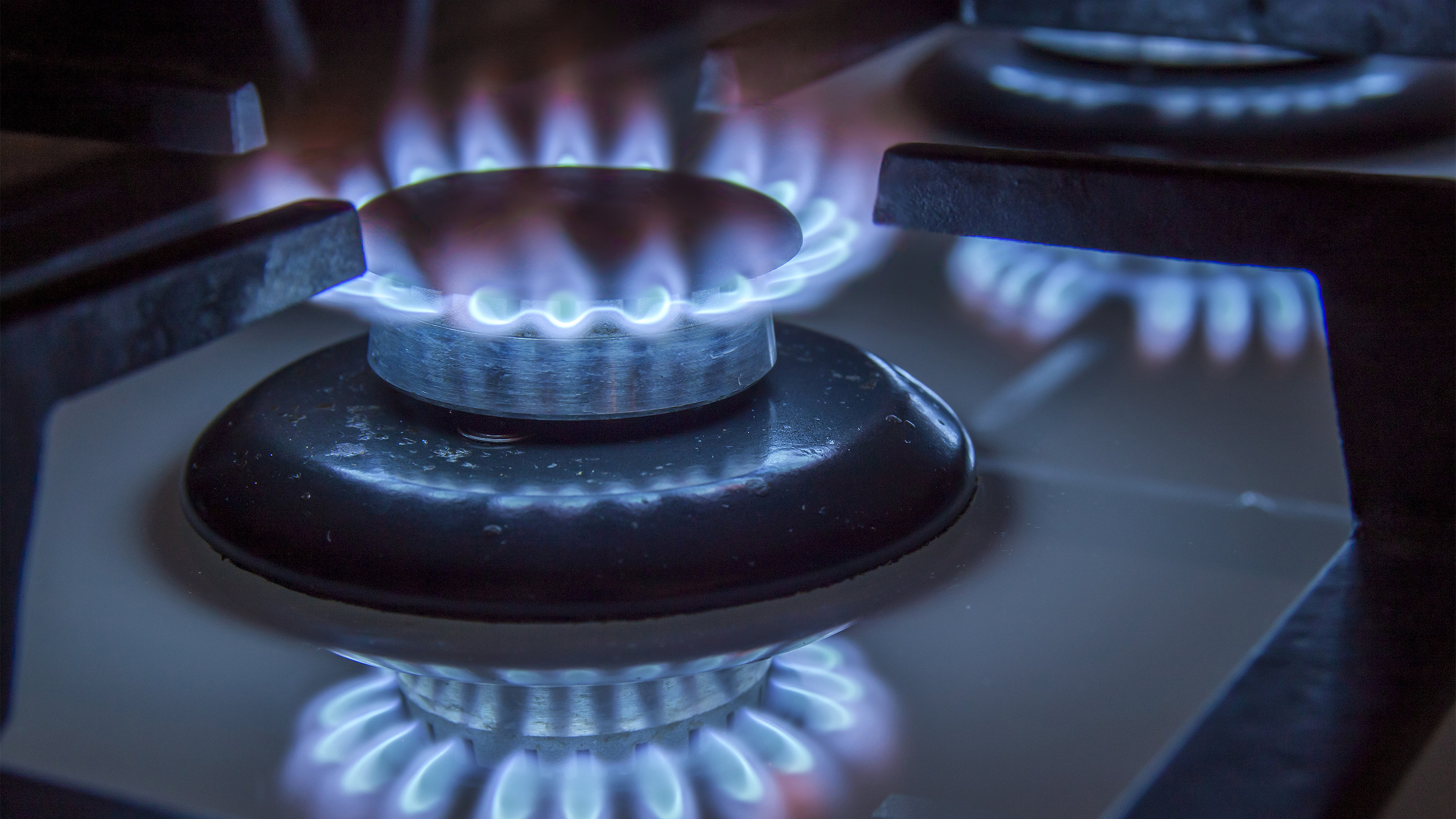 Burning gas stove hob blue flames close up on a black background