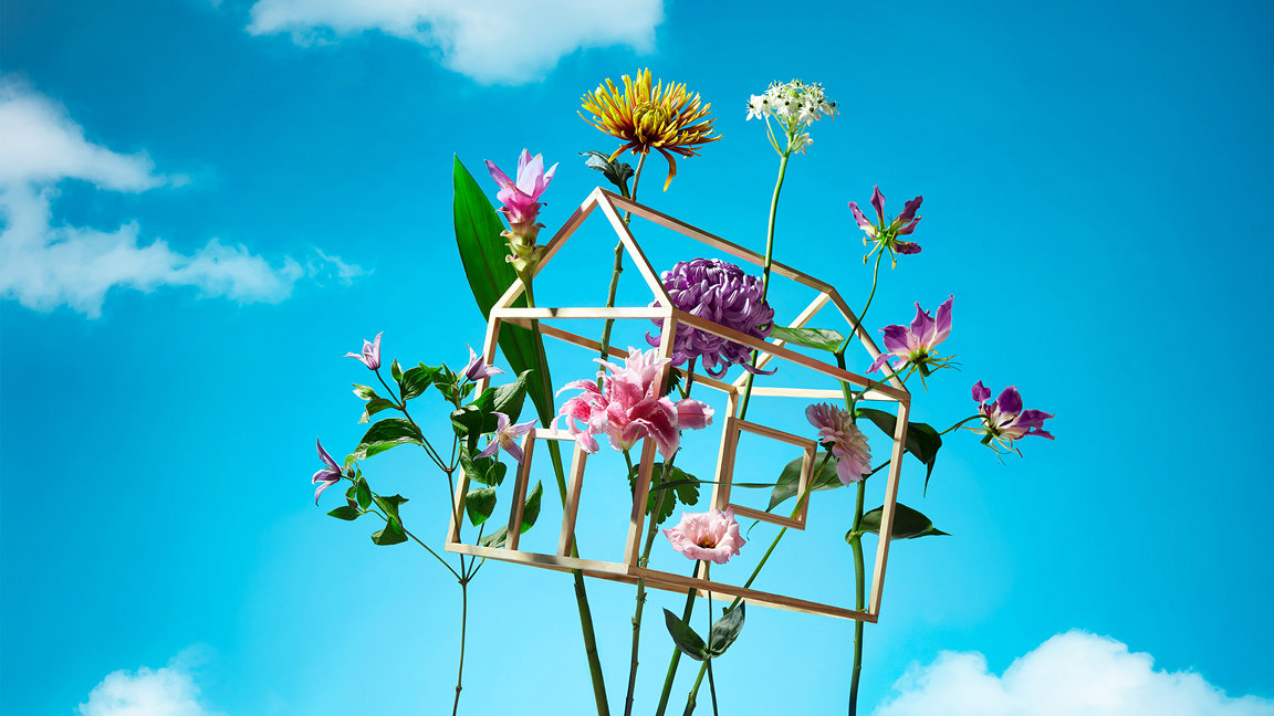 Photo illustration of a house frame and flowers
