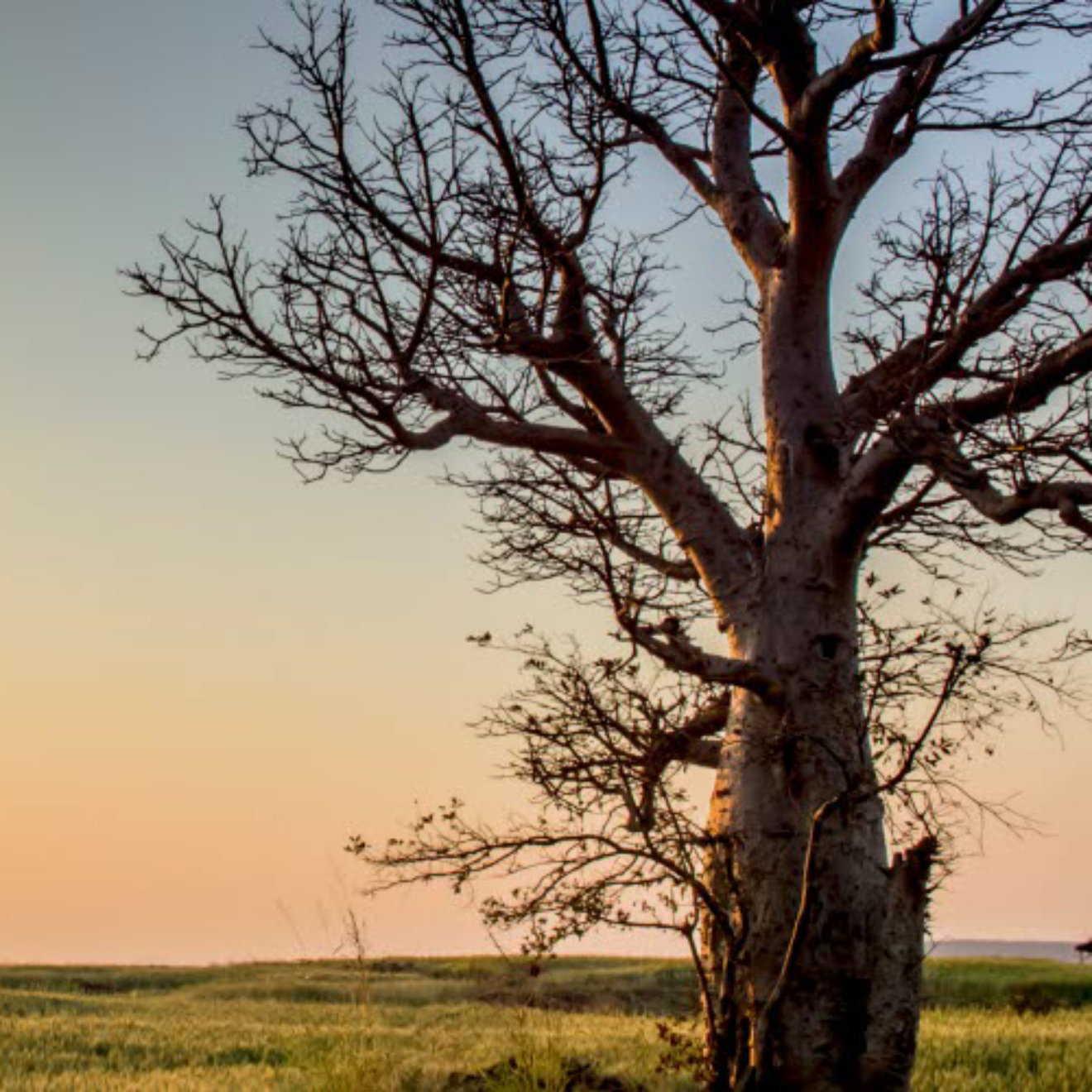 Sunset in a rural landscape