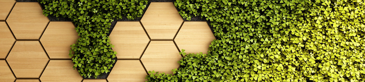 modern interior vertical green garden with panelling