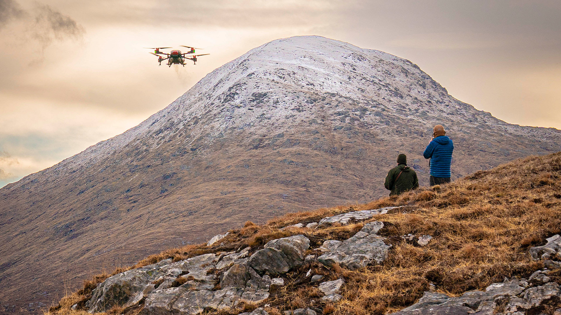 Seeds from the sky: using drones to reforest Britain