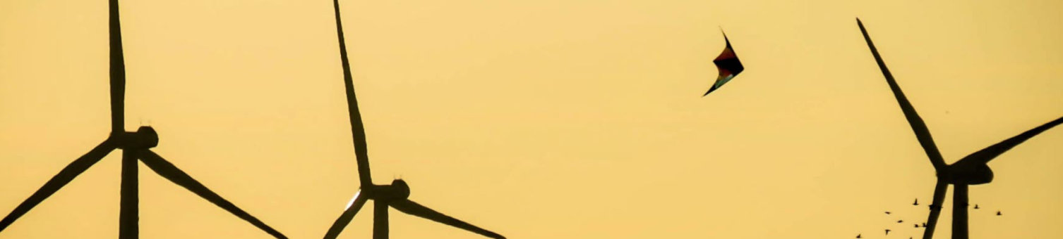 niclas-dehmel-516582-unsplash