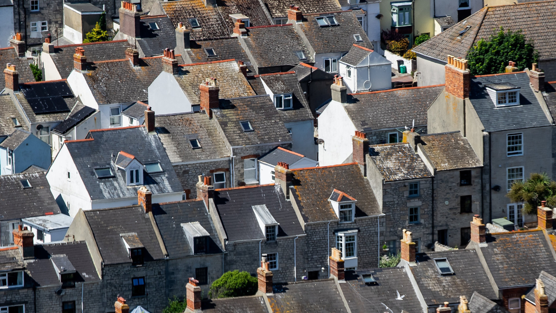 Houses