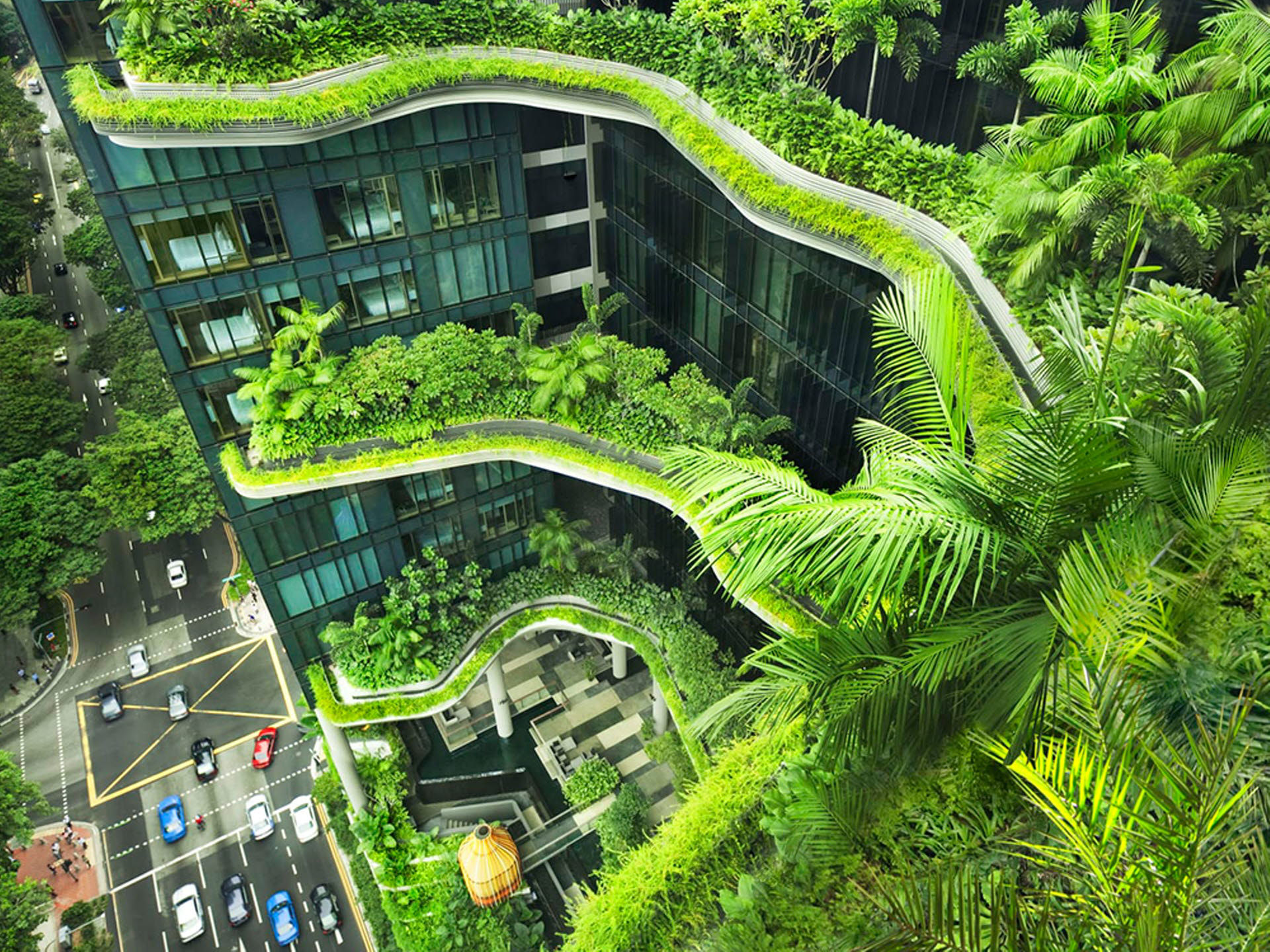 RICS Launches Sustainability Report for 2024