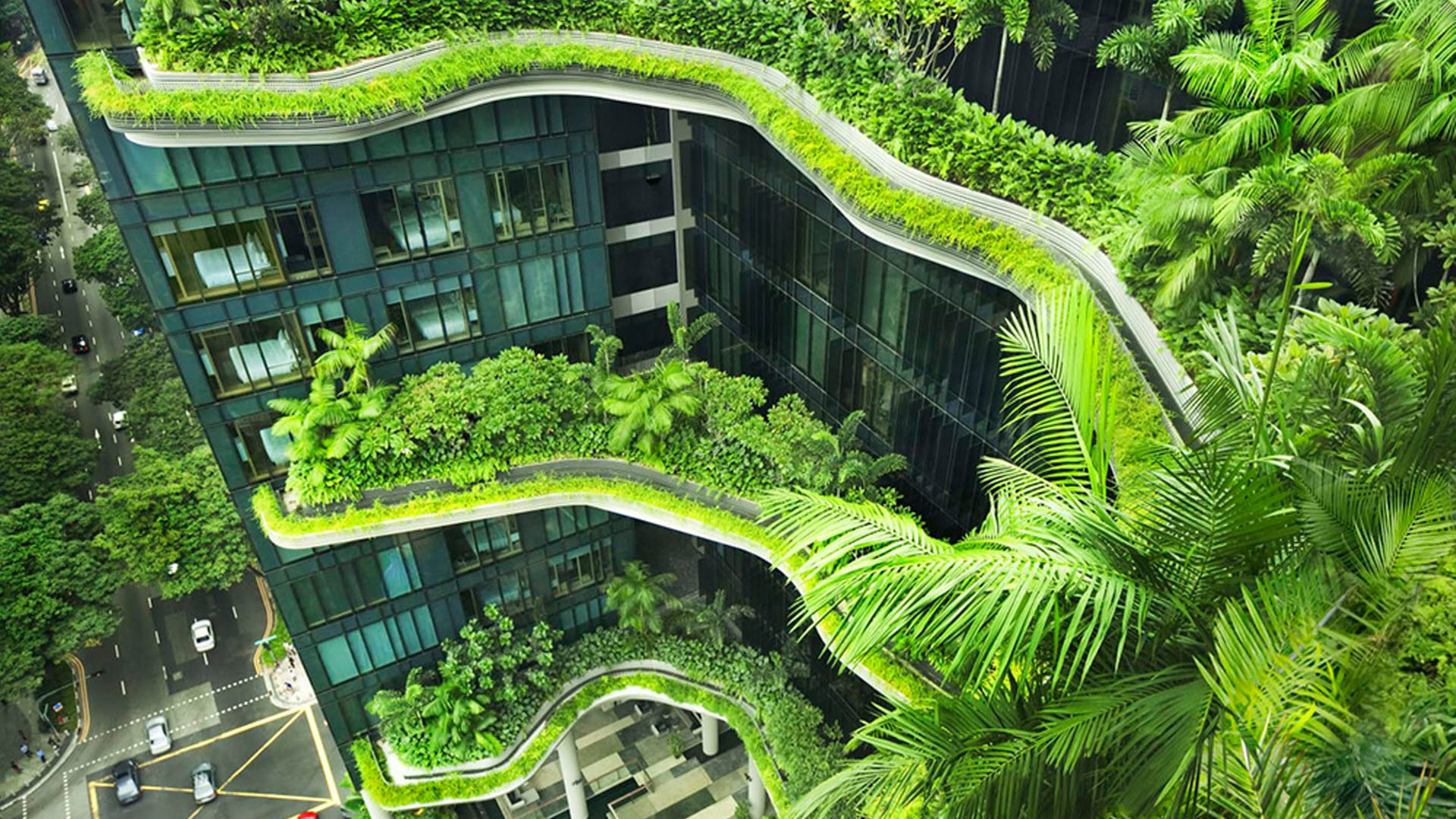 Plants growing on buildings