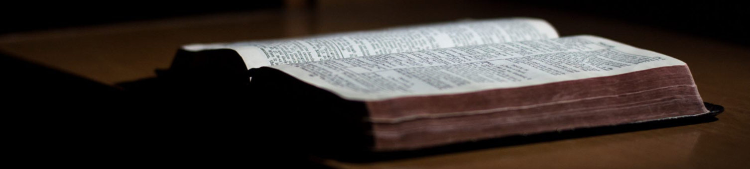 A photograph of an open book with the pages fanned out