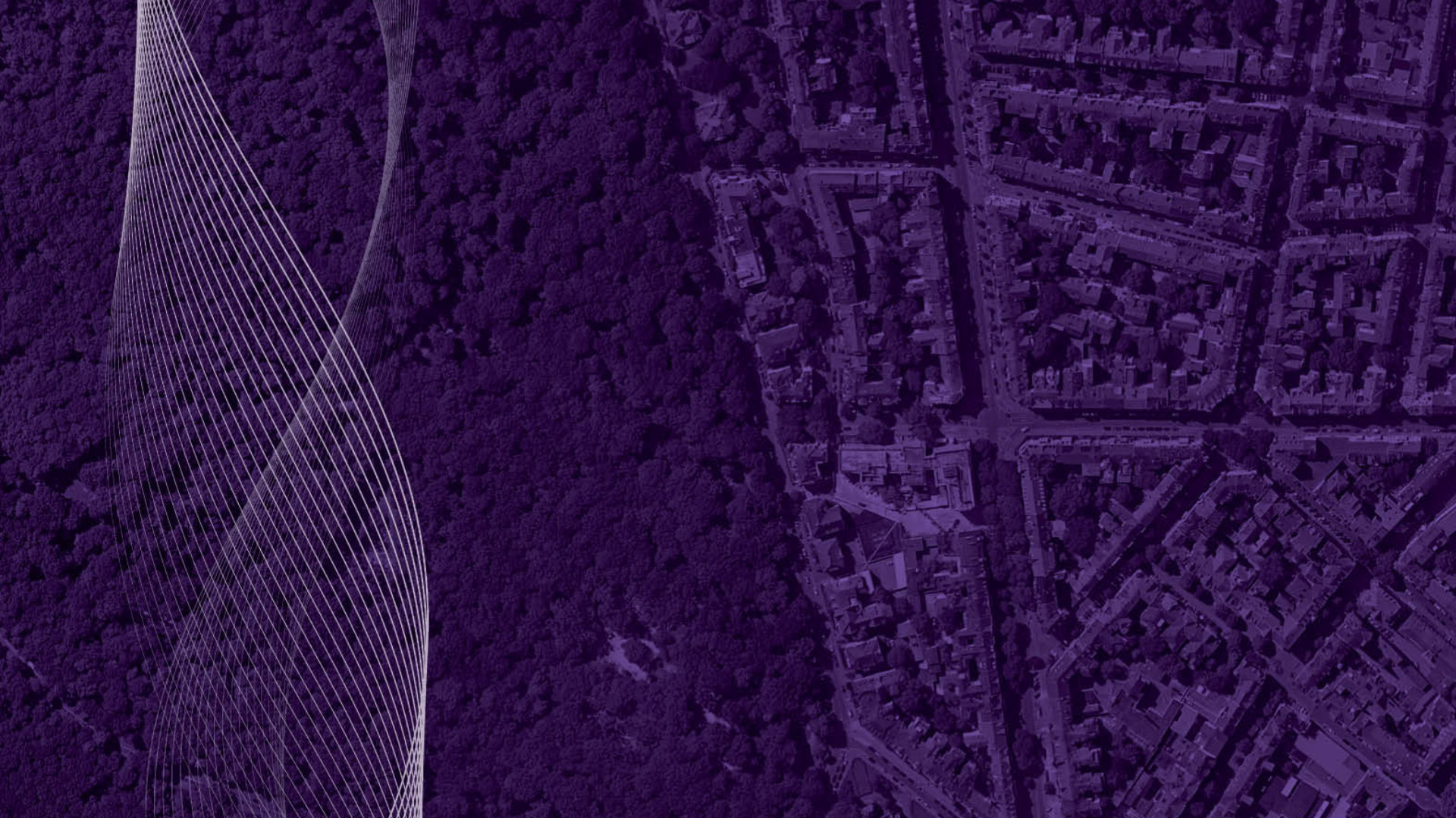 An aerial view of a residential area surrounded by forest. The image has a purple colour filter applied.