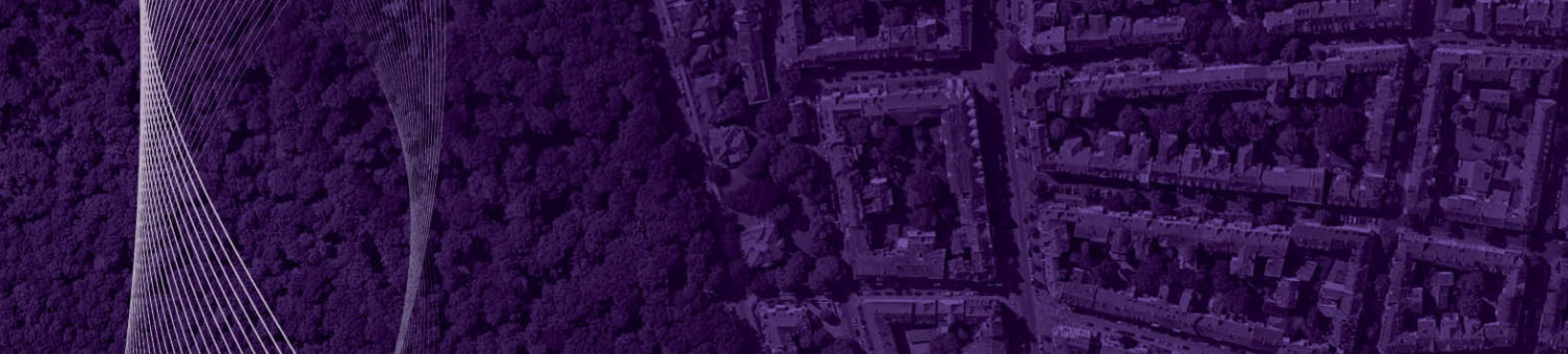 An aerial view of a residential area surrounded by forest. The image has a purple colour filter applied.