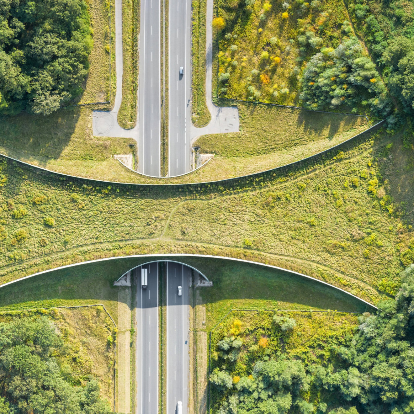 Aerial top down view of ecoduct or wildlife crossing - vegetation covered bridge over a motorway that allows wildlife to safely cross over; Shutterstock ID 1821548093; purchase_order: -; job: -; client: -; other: -