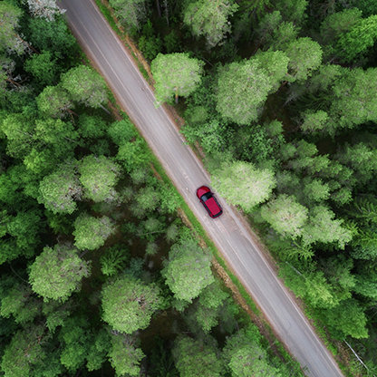 A car driving along a road through a forest