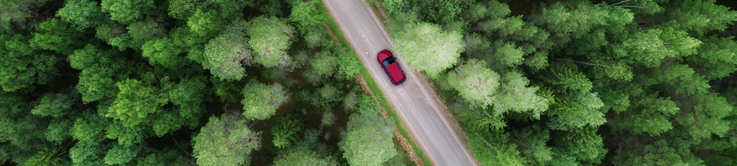 A car driving along a road through a forest