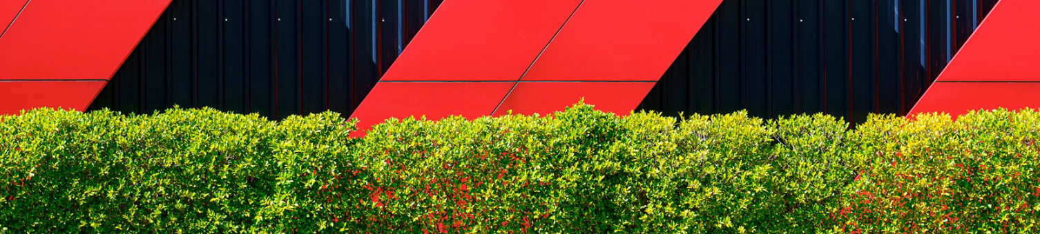 Front view of red arrows pattern on black corrugated metal wall behind green bush fence in exterior architecture decorations design concept; Shutterstock ID 1982992589; purchase_order: -; job: -; client: -; other: -