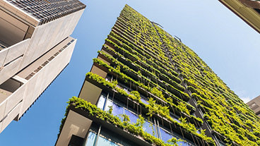 Quantity surveying can provide a career in sustainability 