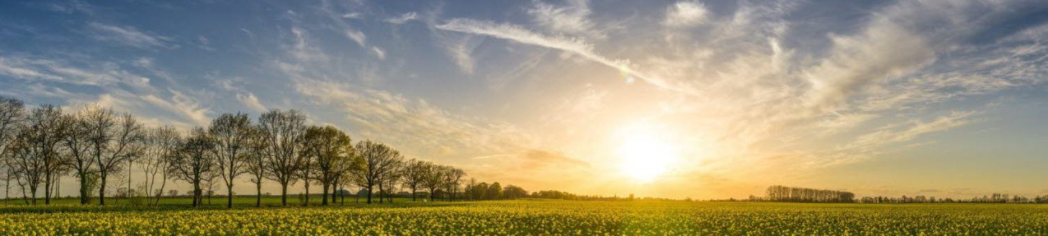 sun-rising-over-field