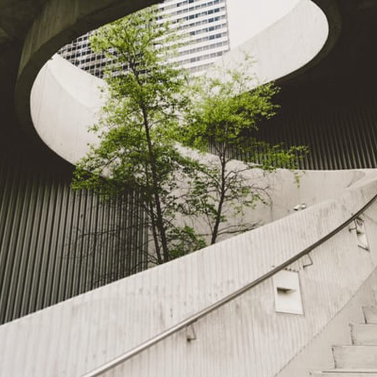 Tree in the middle of a built environment