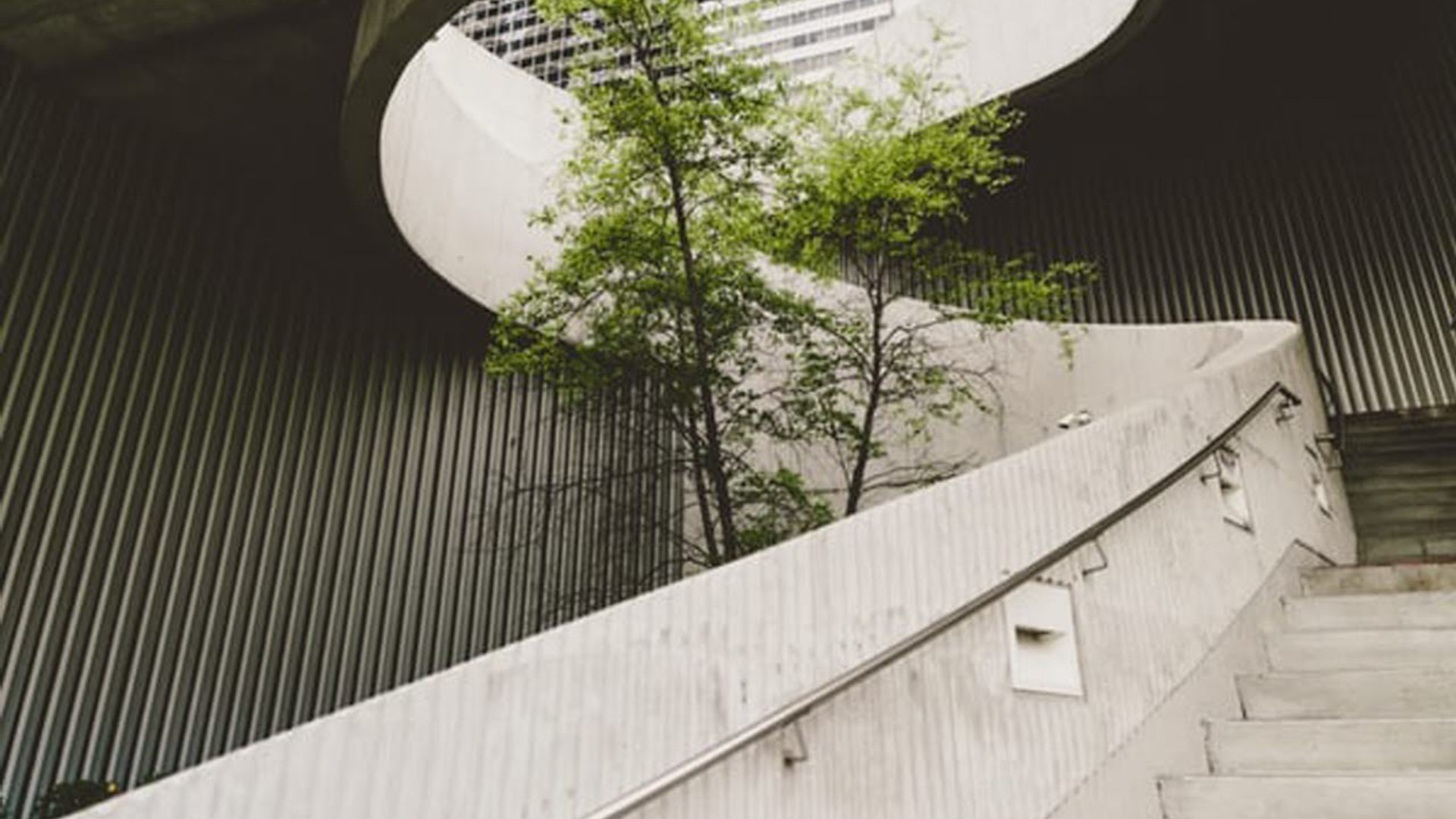 Tree in the middle of a built environment