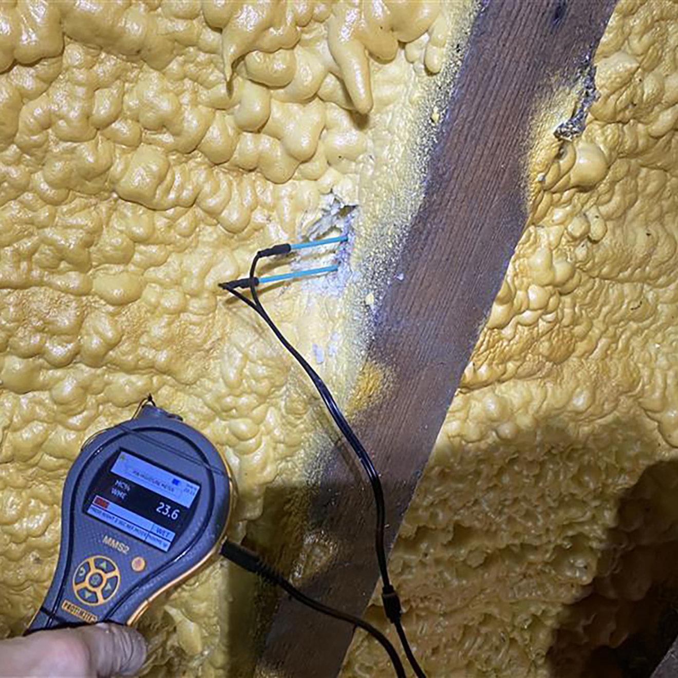 A moisture reading being taken from timber. The probes are inserted into a small patch of spray foam that has been removed for the task.