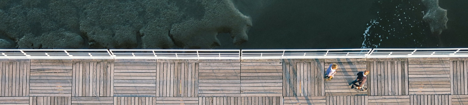 Top down view of people walking on a bridge over wetlands