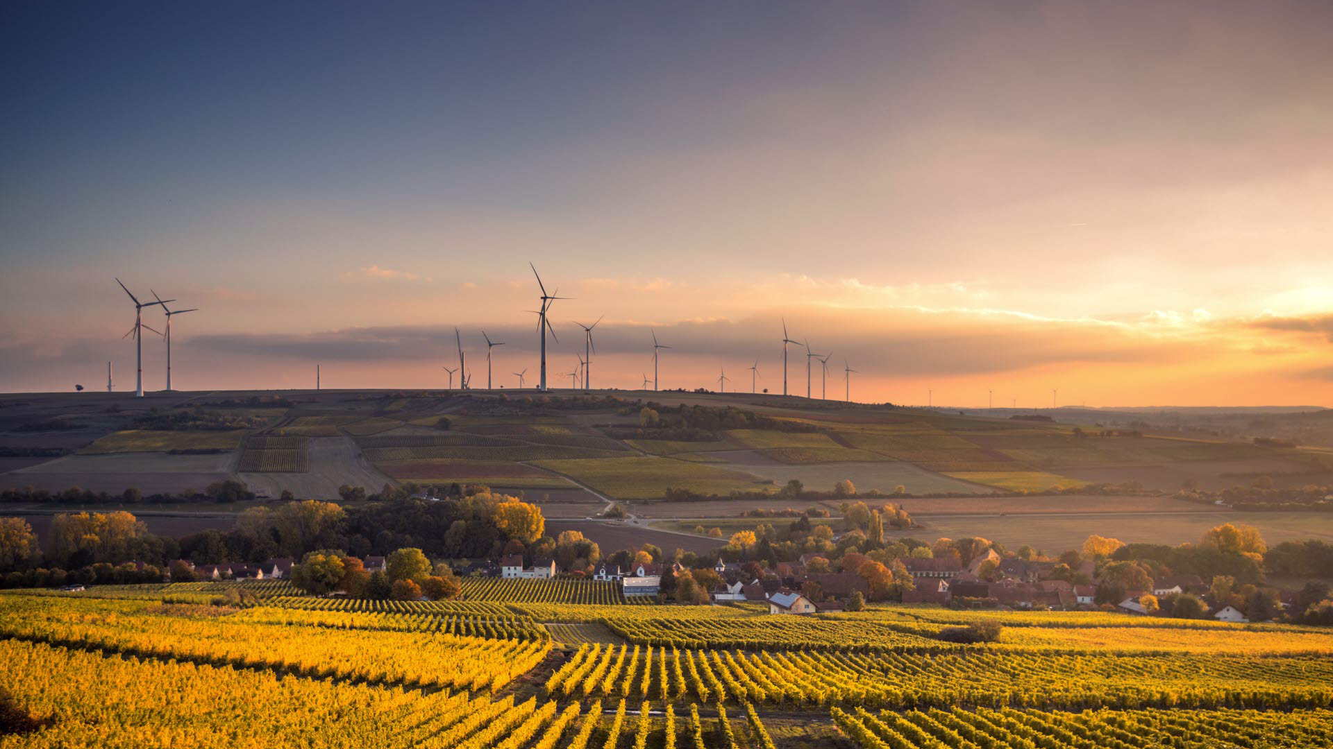 Wind farm