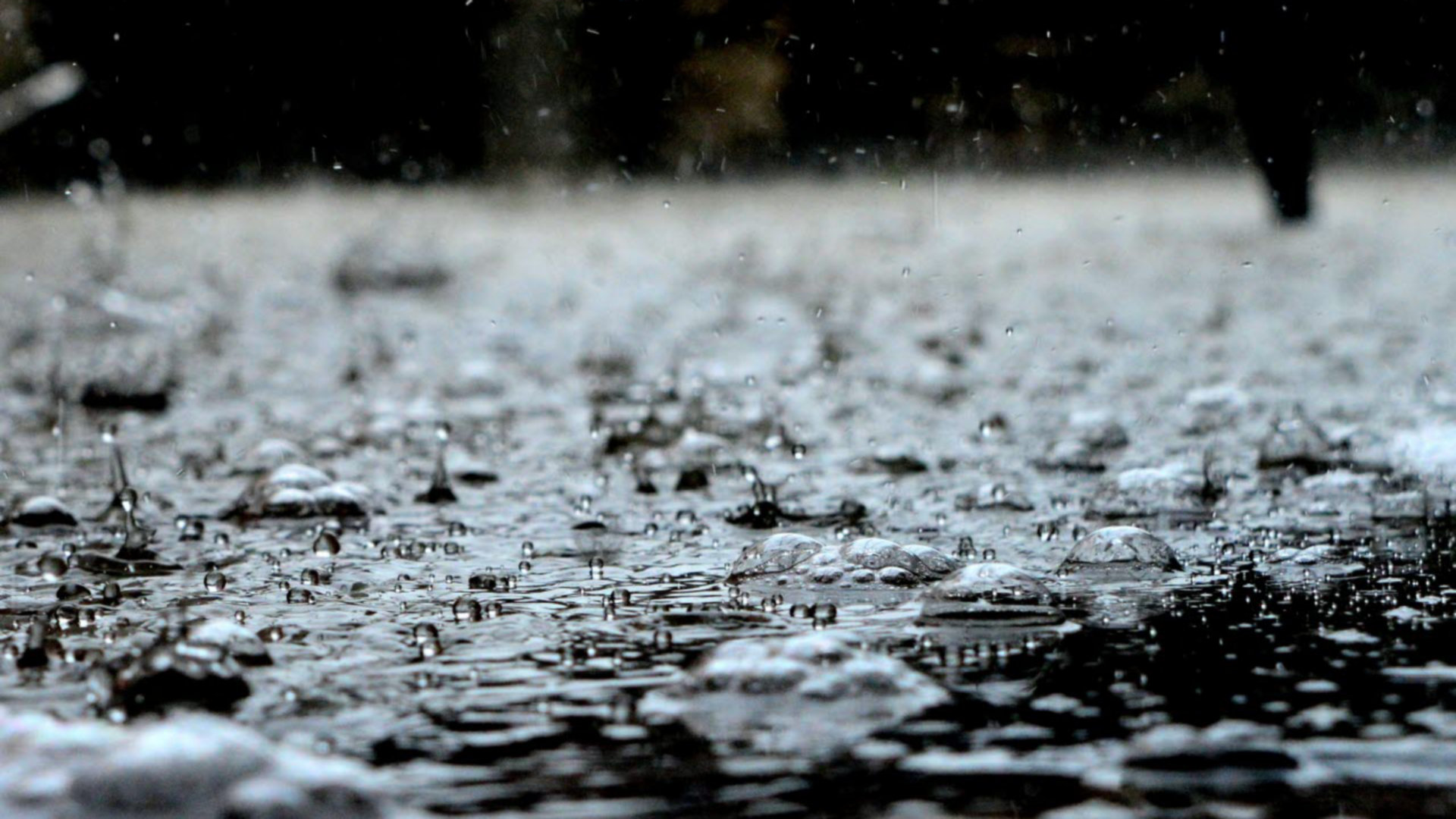 Rainfall on street