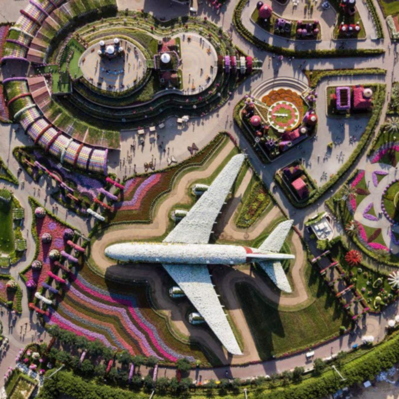 aerial-photography-of-park-with-airplane