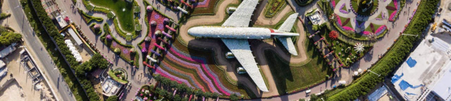 aerial-photography-of-park-with-airplane
