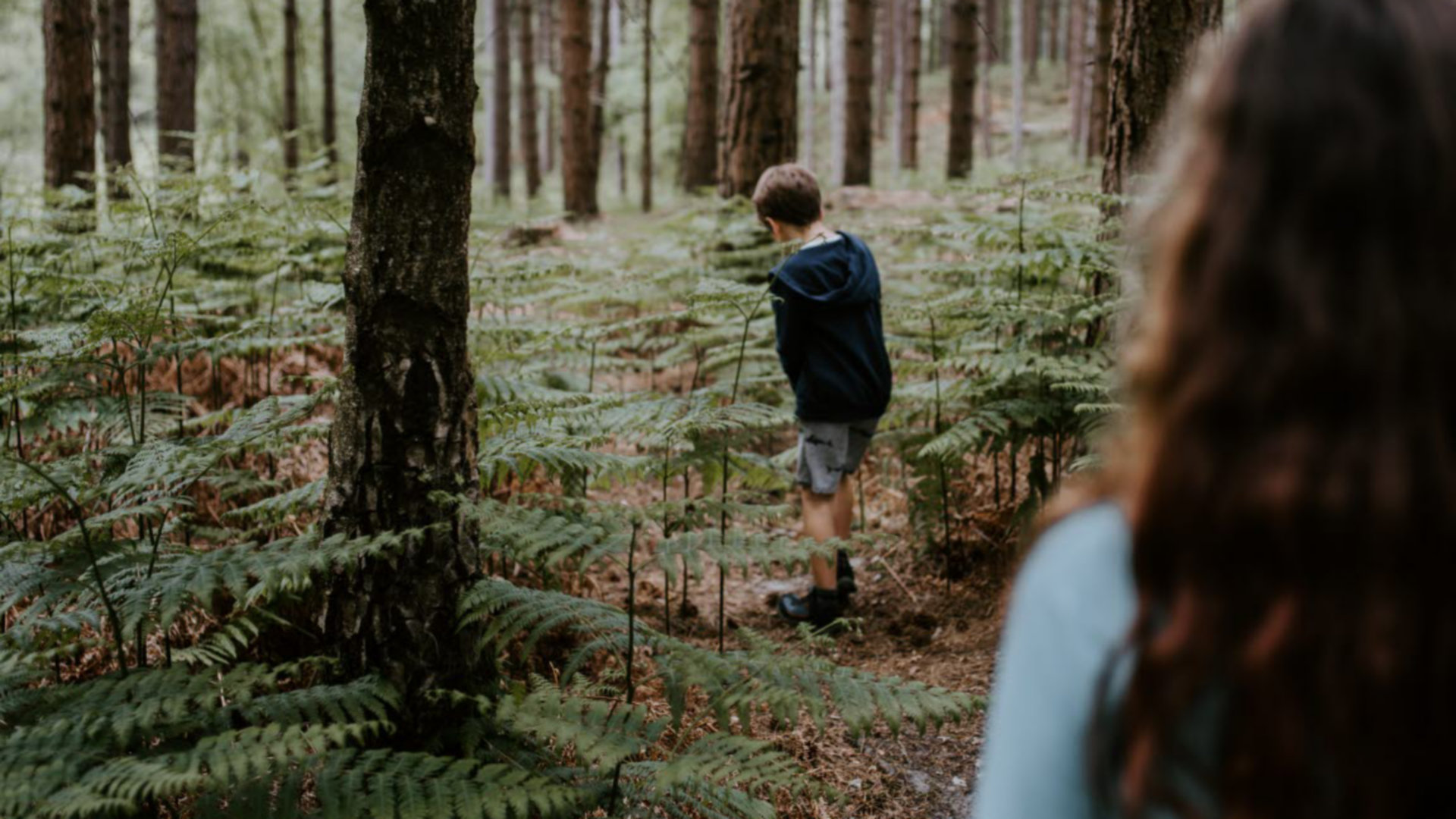 annie-spratt-DdjlUXj2CP0-unsplash